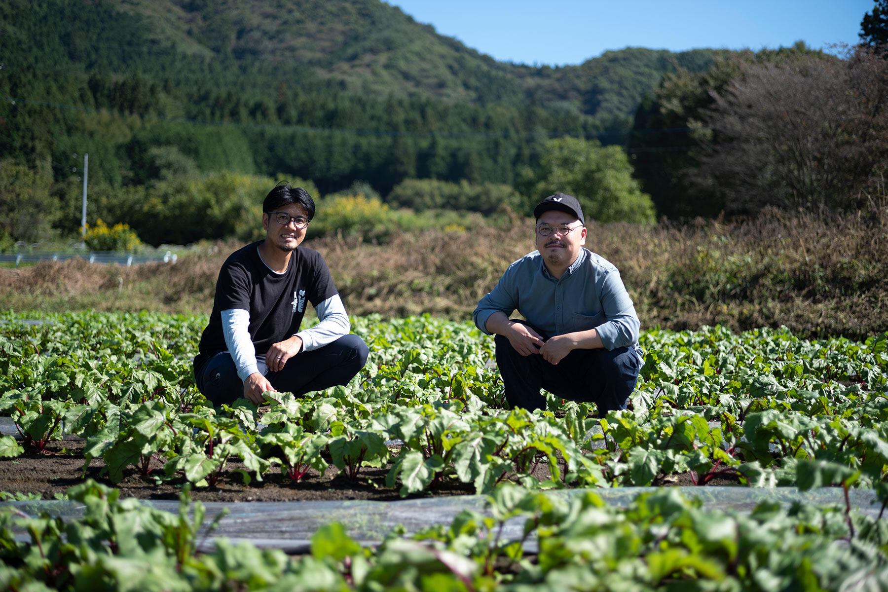 キミドリファーム