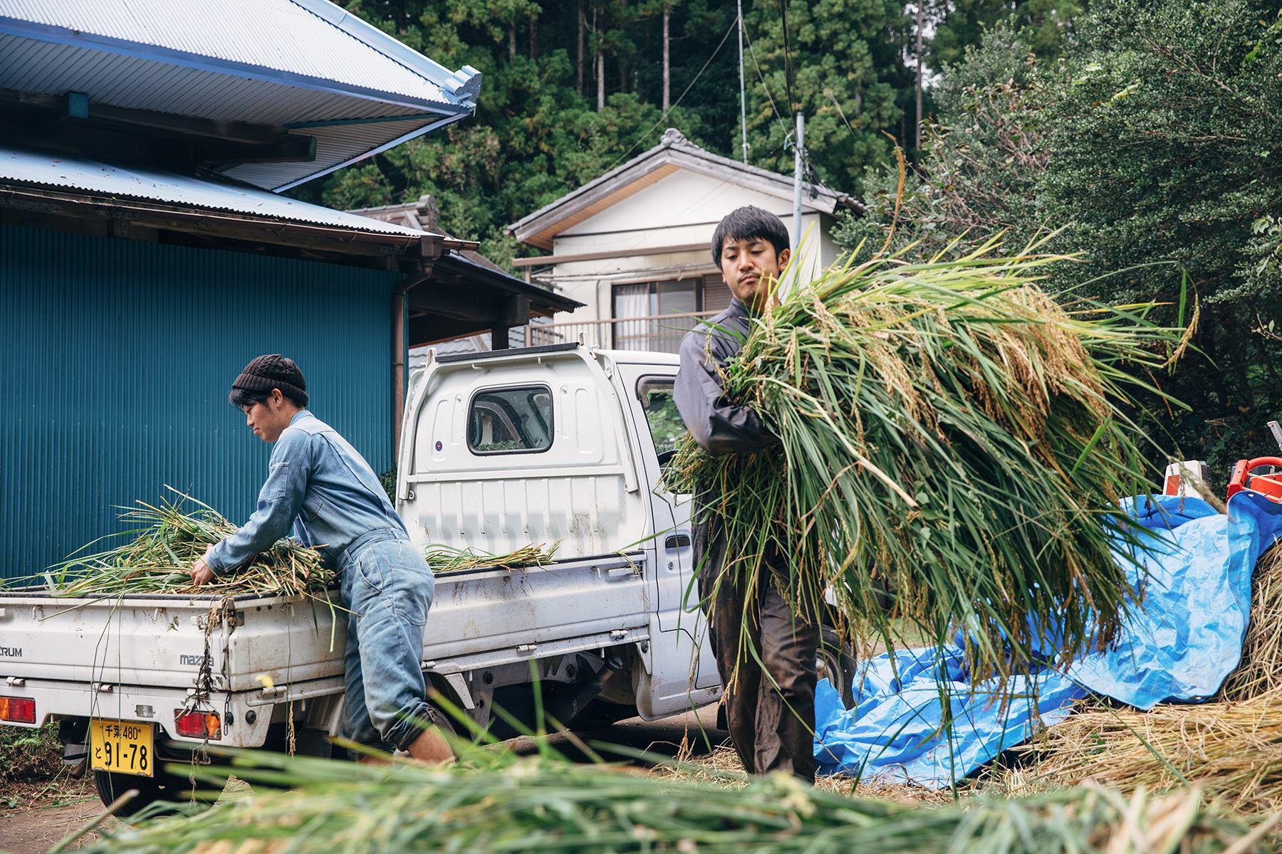 荷下ろし作業風景