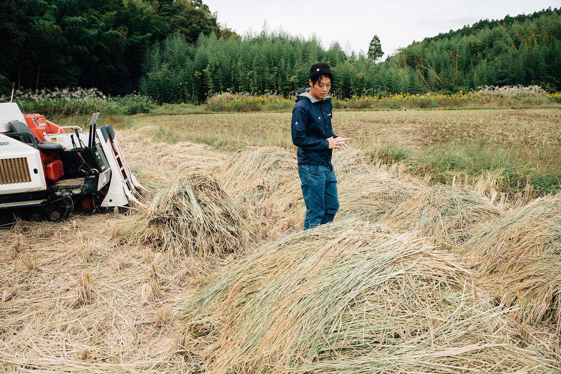 稲わら山の中に立つ男性