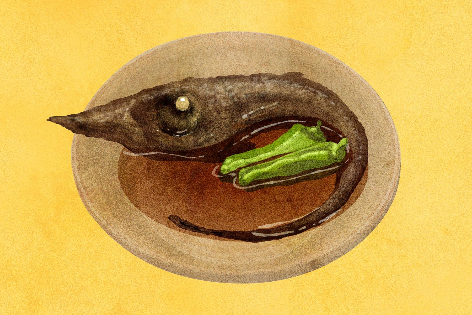 トウジンの煮つけ