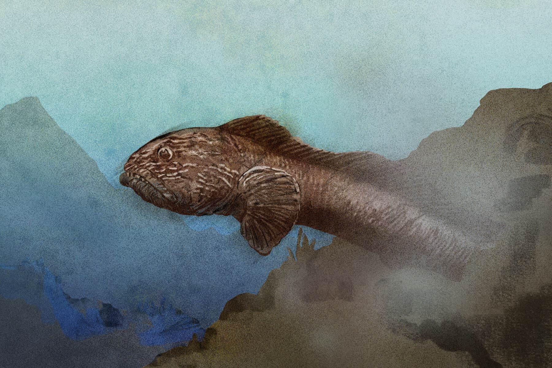 甲殻類を殻ごと食べつくす!?