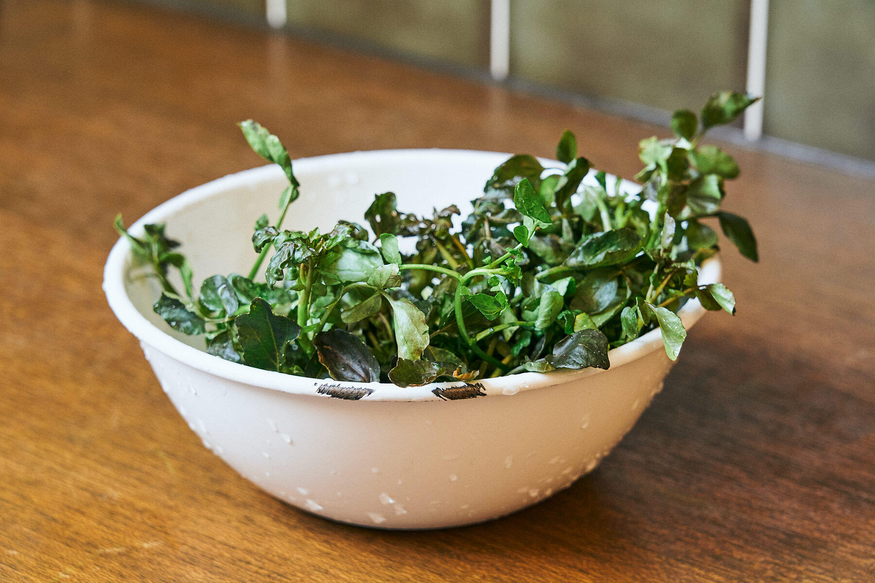 クレソンを冷水につける