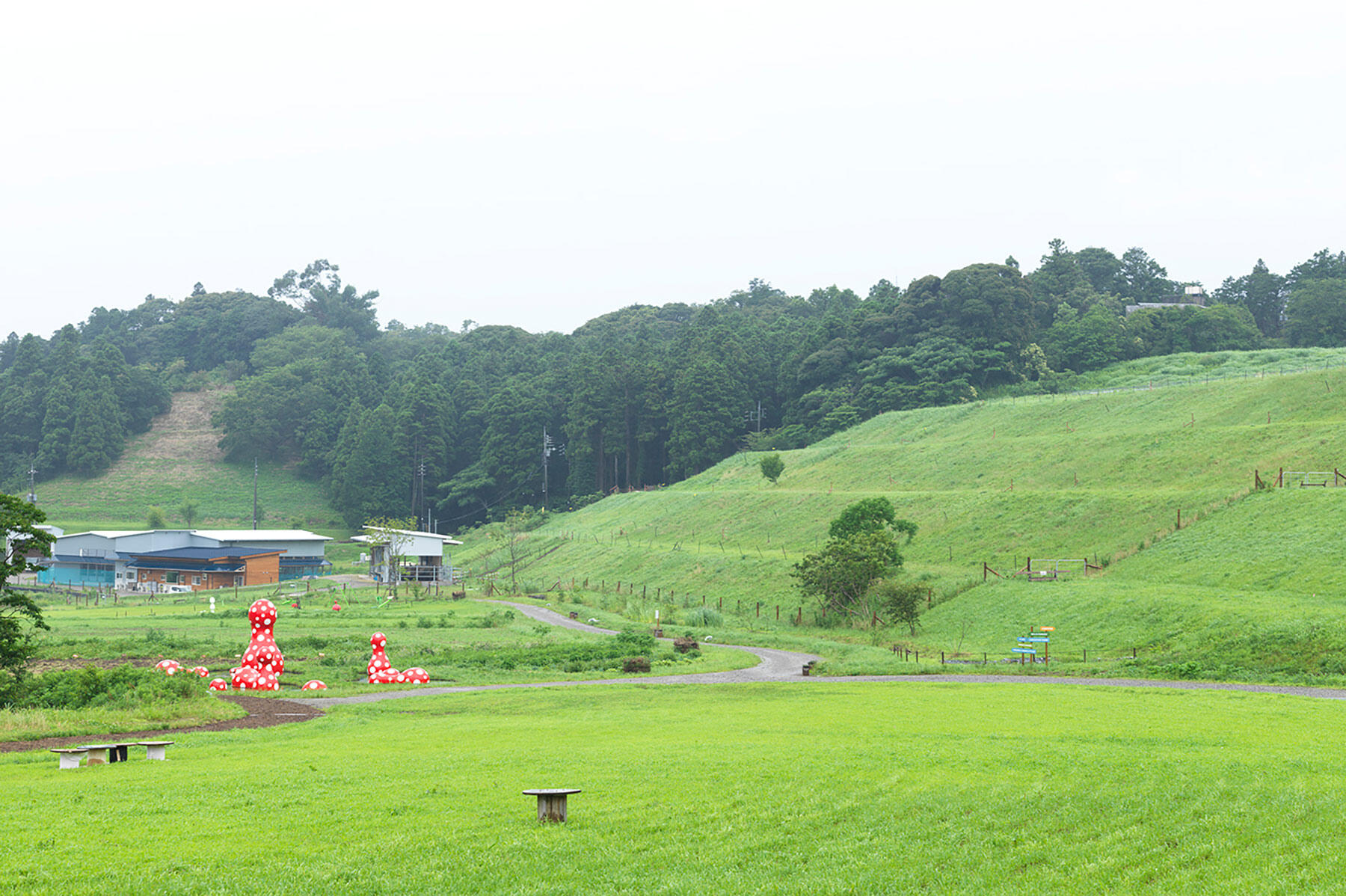 クルックフィールズ