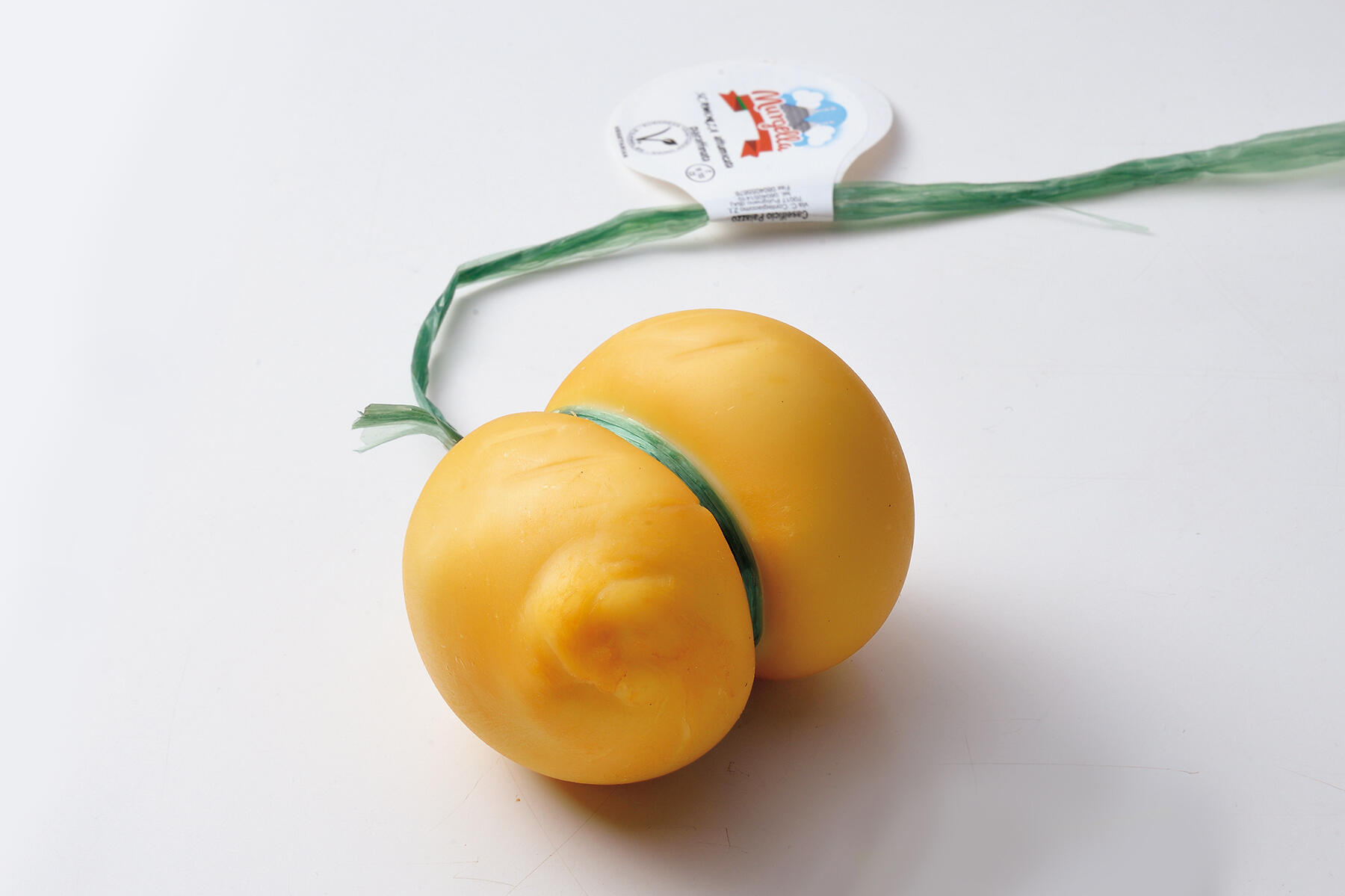 スカモルツァ・ アフミカータ