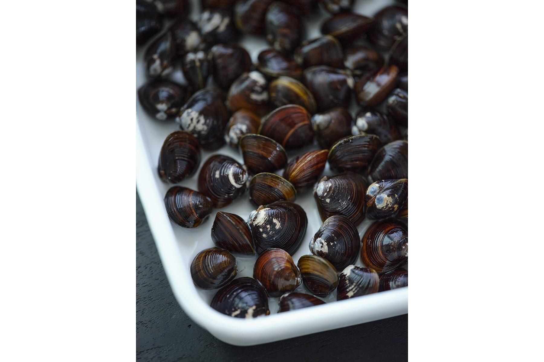 いたわり食材「シジミ」