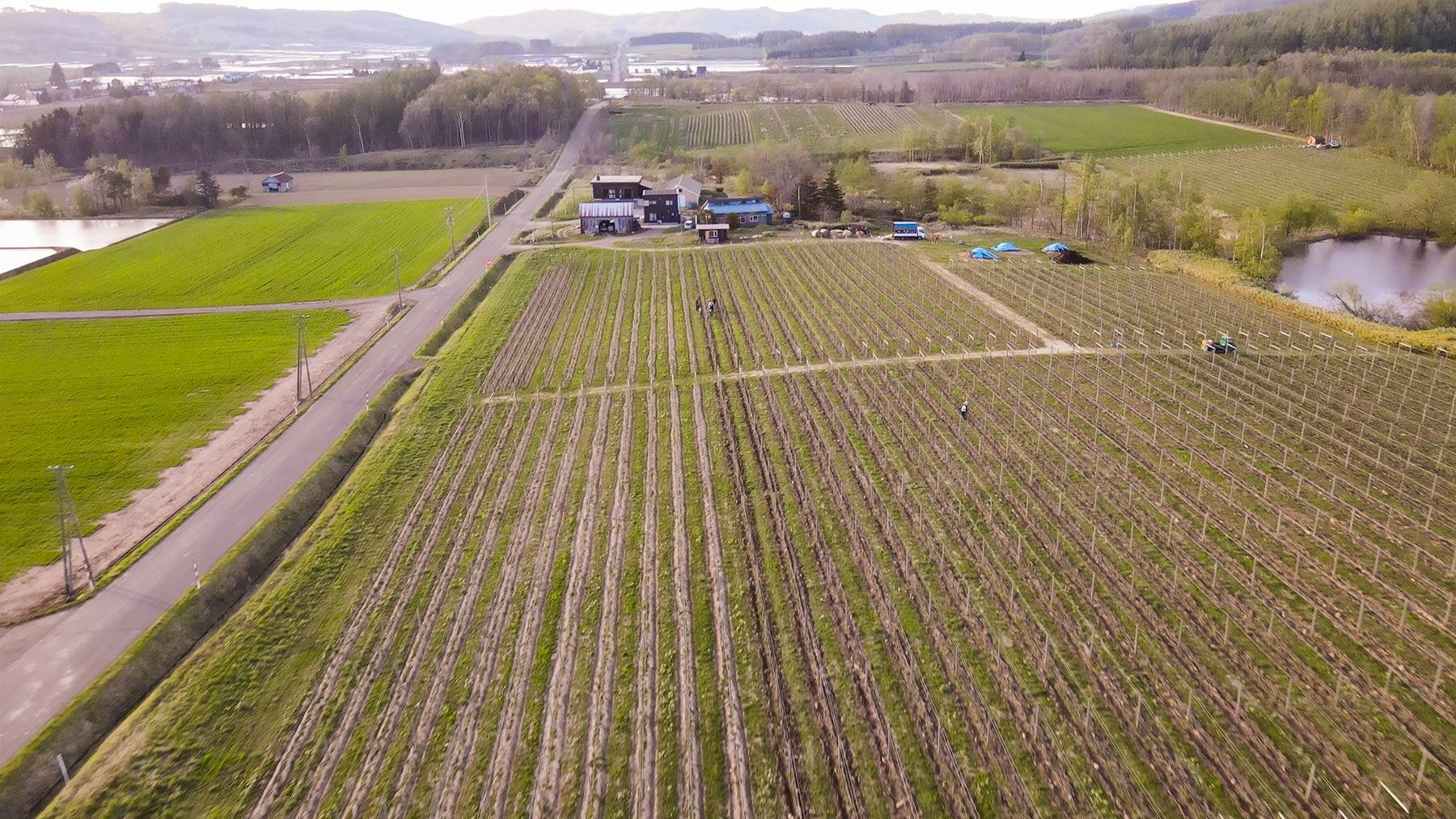 モセウシの地形