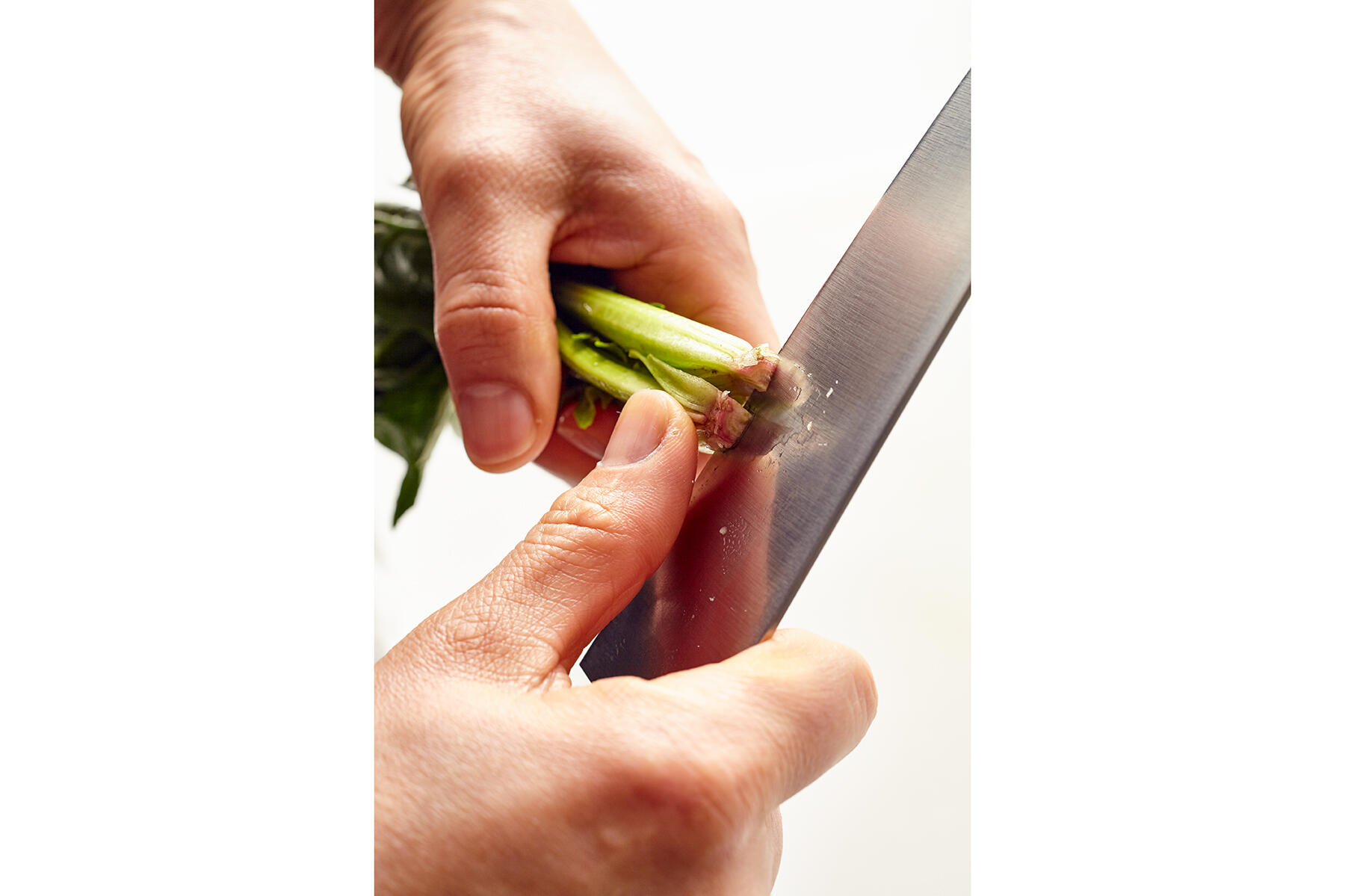 ほうれん草を切る