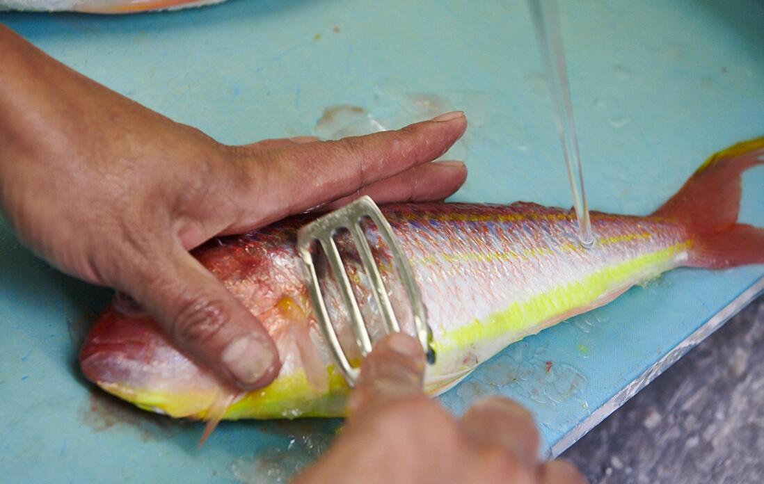 イトヨリを捌く