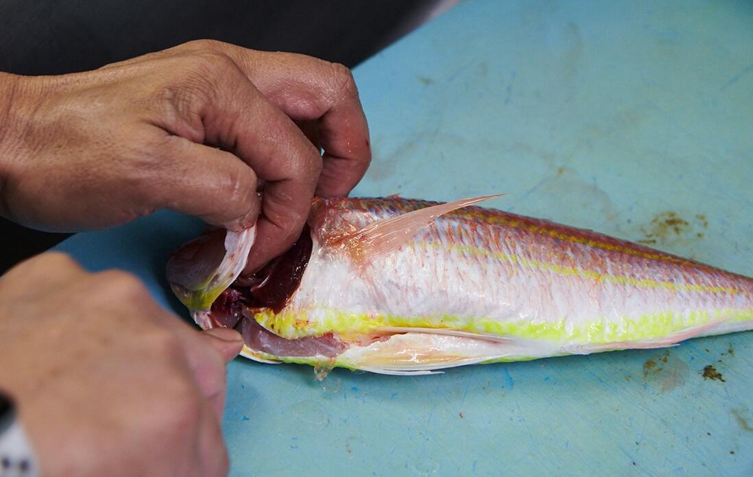 イトヨリを捌く