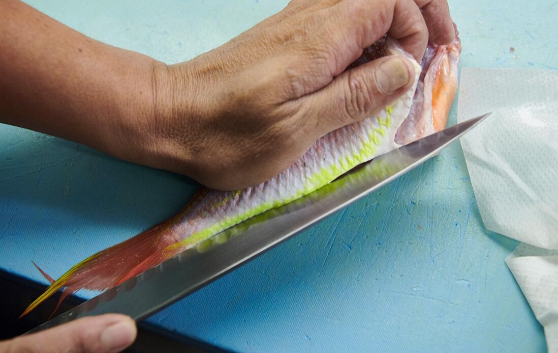 イトヨリを捌く