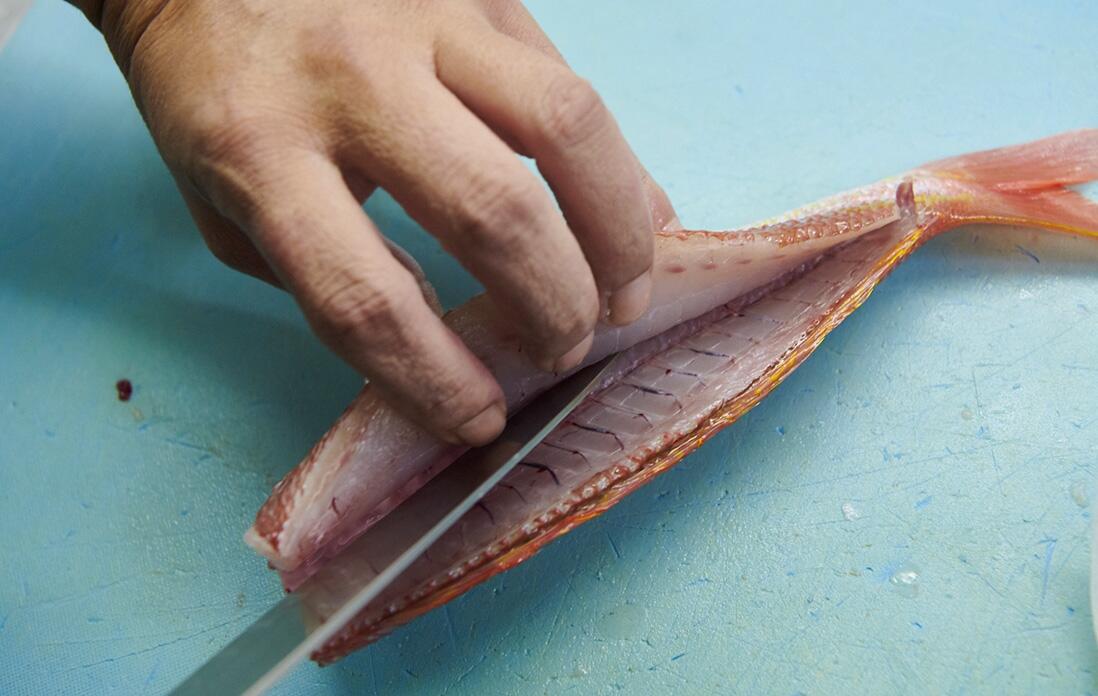 イトヨリを捌く