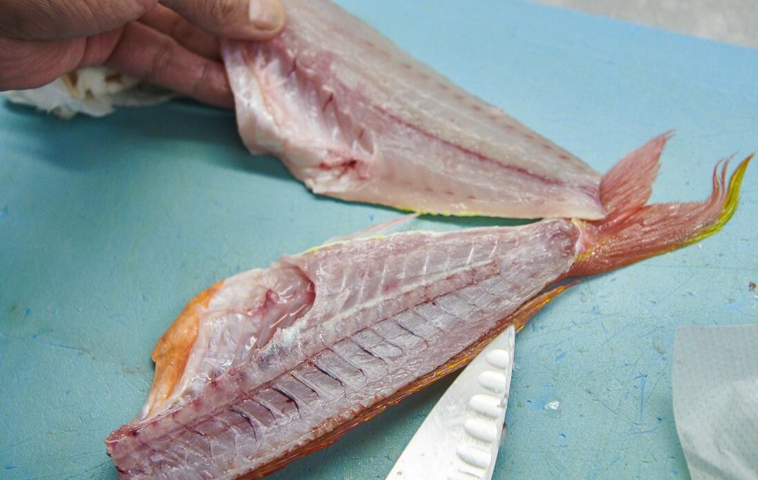 イトヨリを捌く