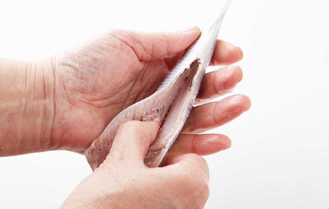 イワシの下処理