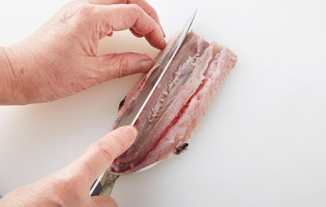 イワシの下処理