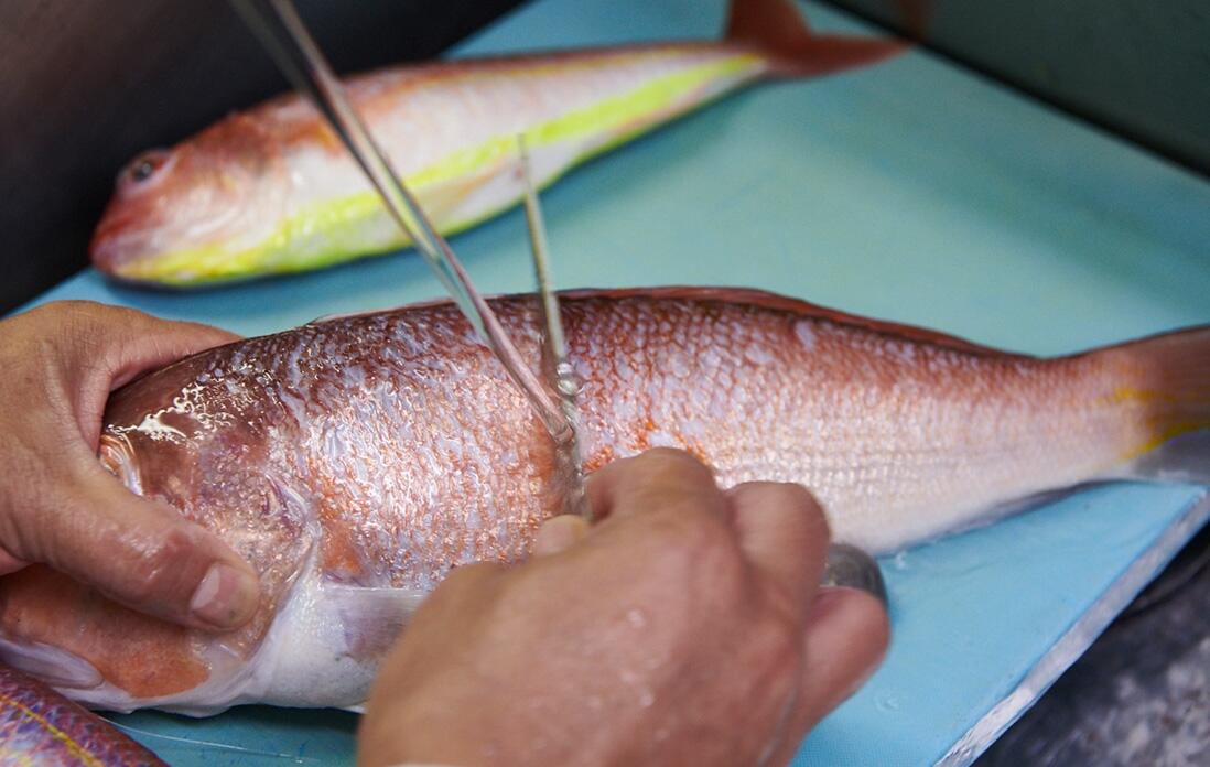 甘鯛を捌く