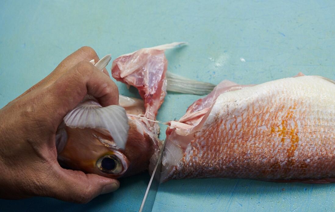 甘鯛を捌く