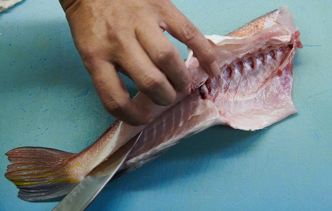 甘鯛を捌く