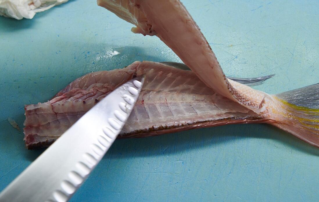 甘鯛を捌く