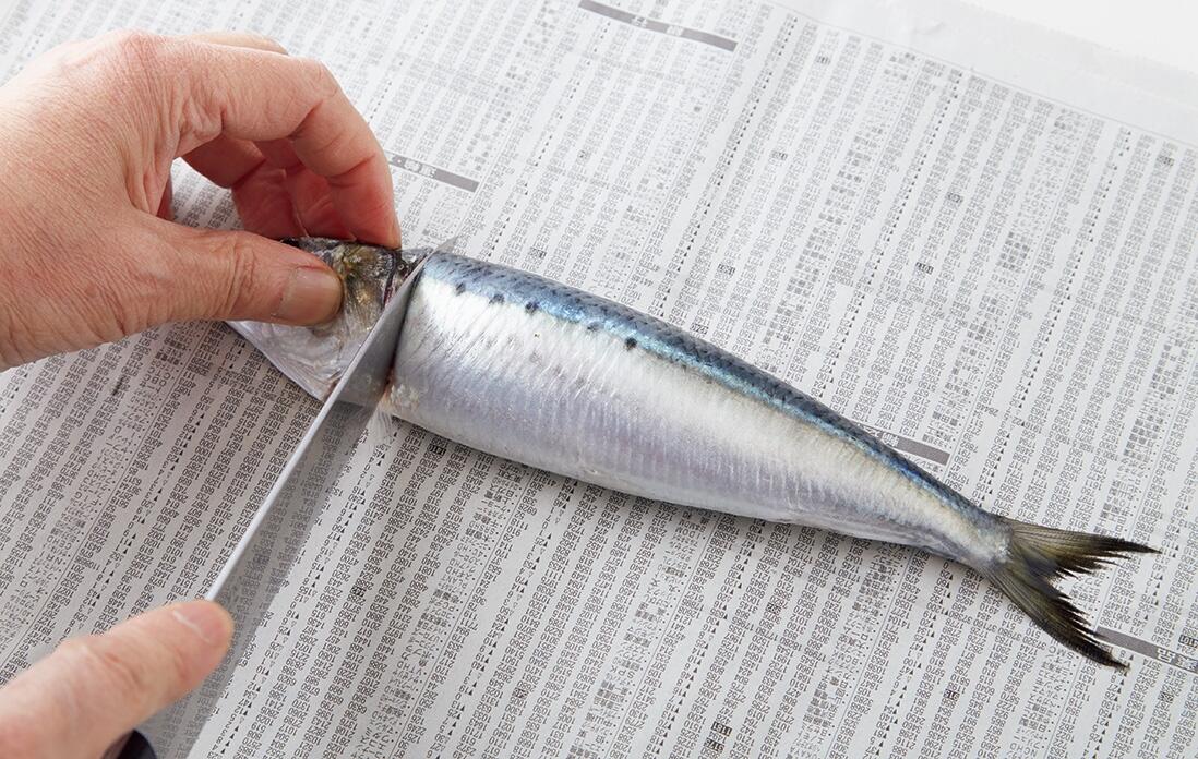 イワシの下処理