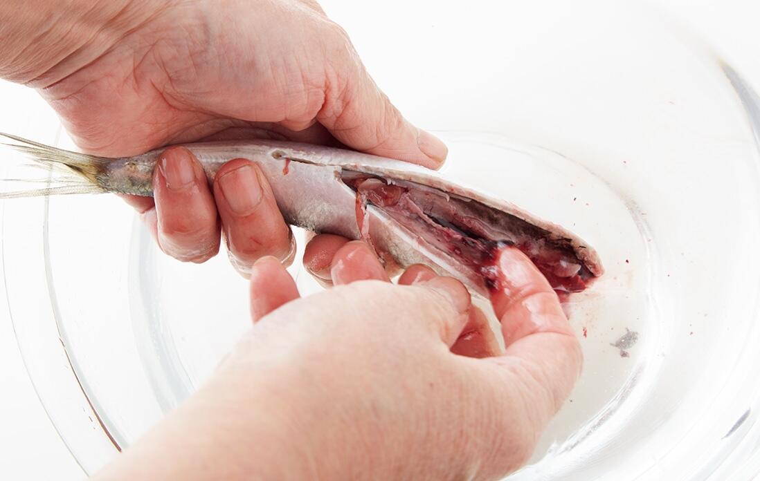 イワシの下処理