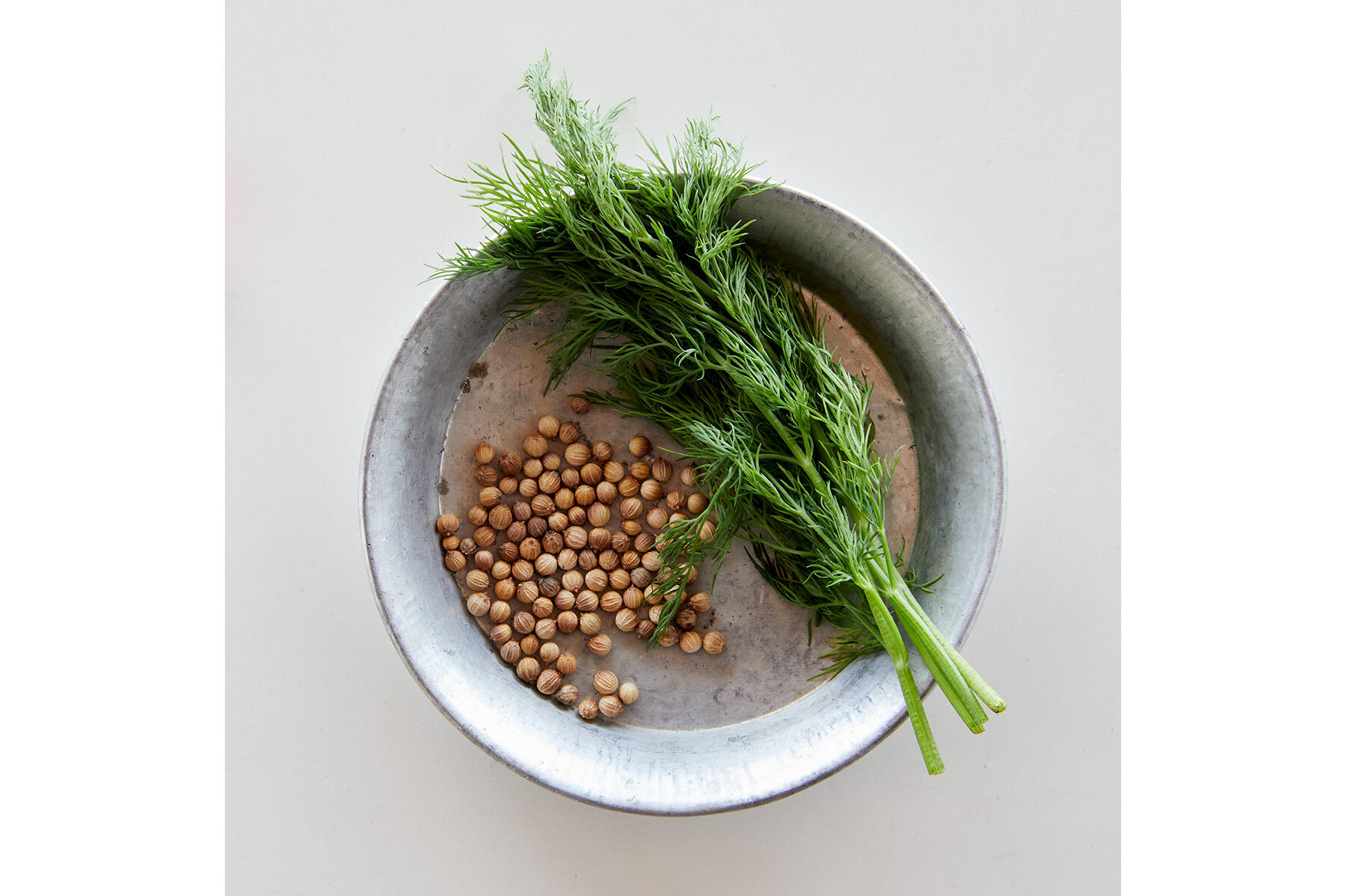 スパイス&ハーブ