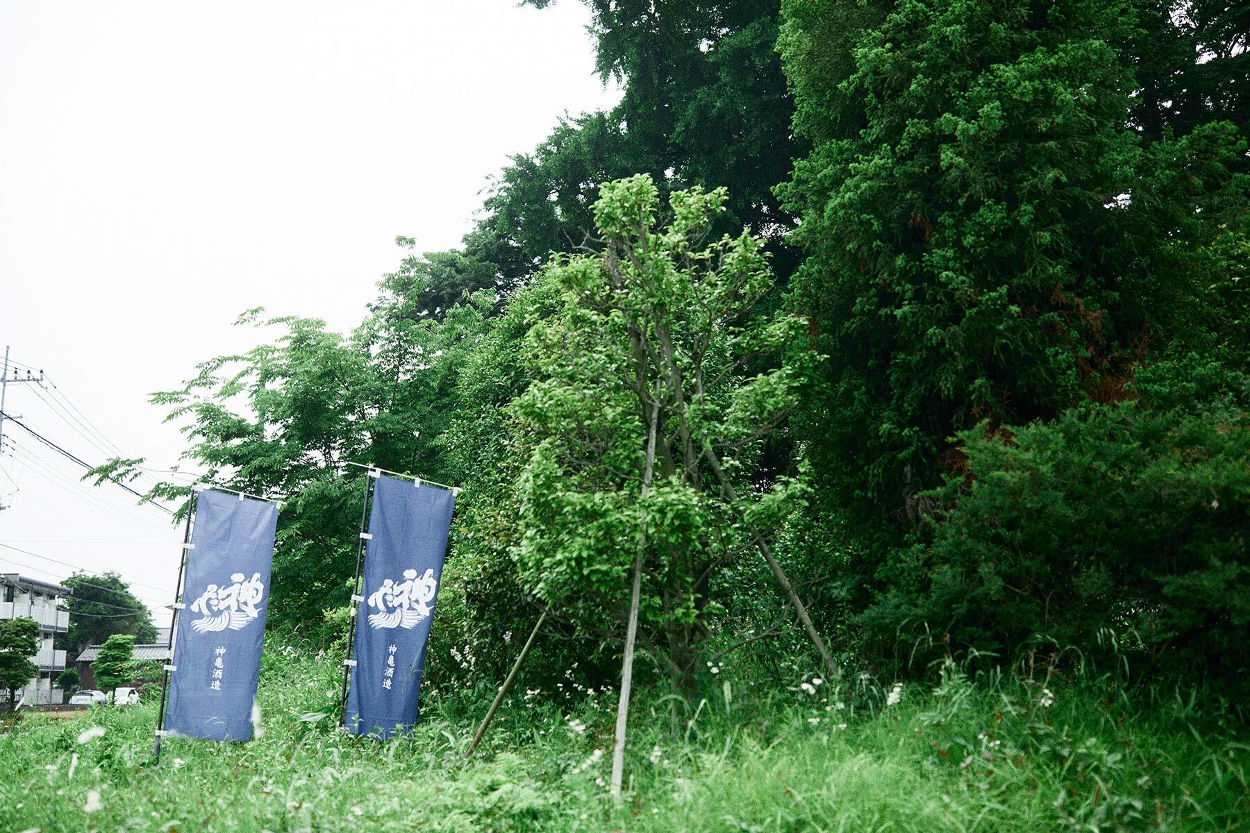 神亀酒造の周囲