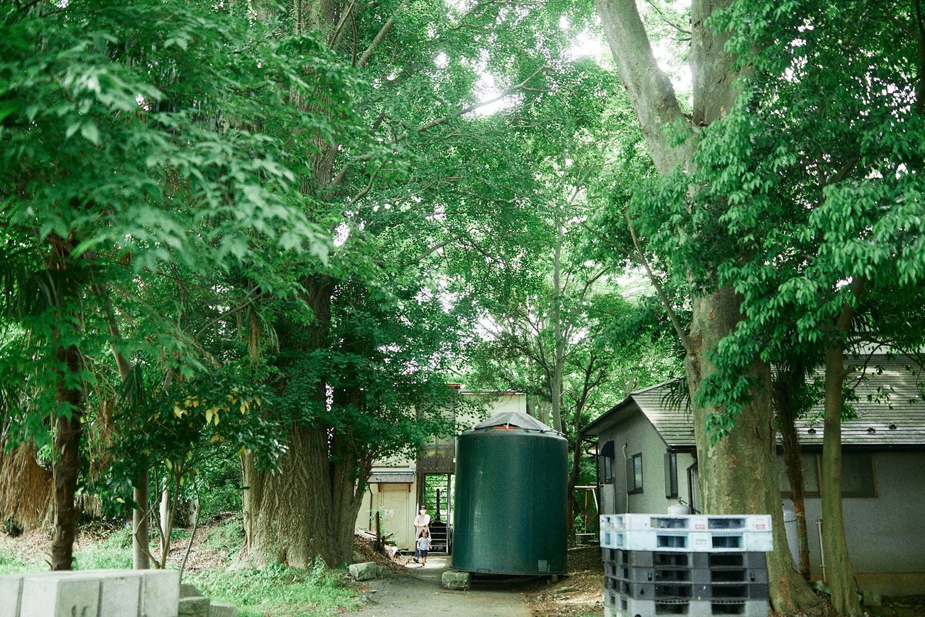 神亀酒造敷地内