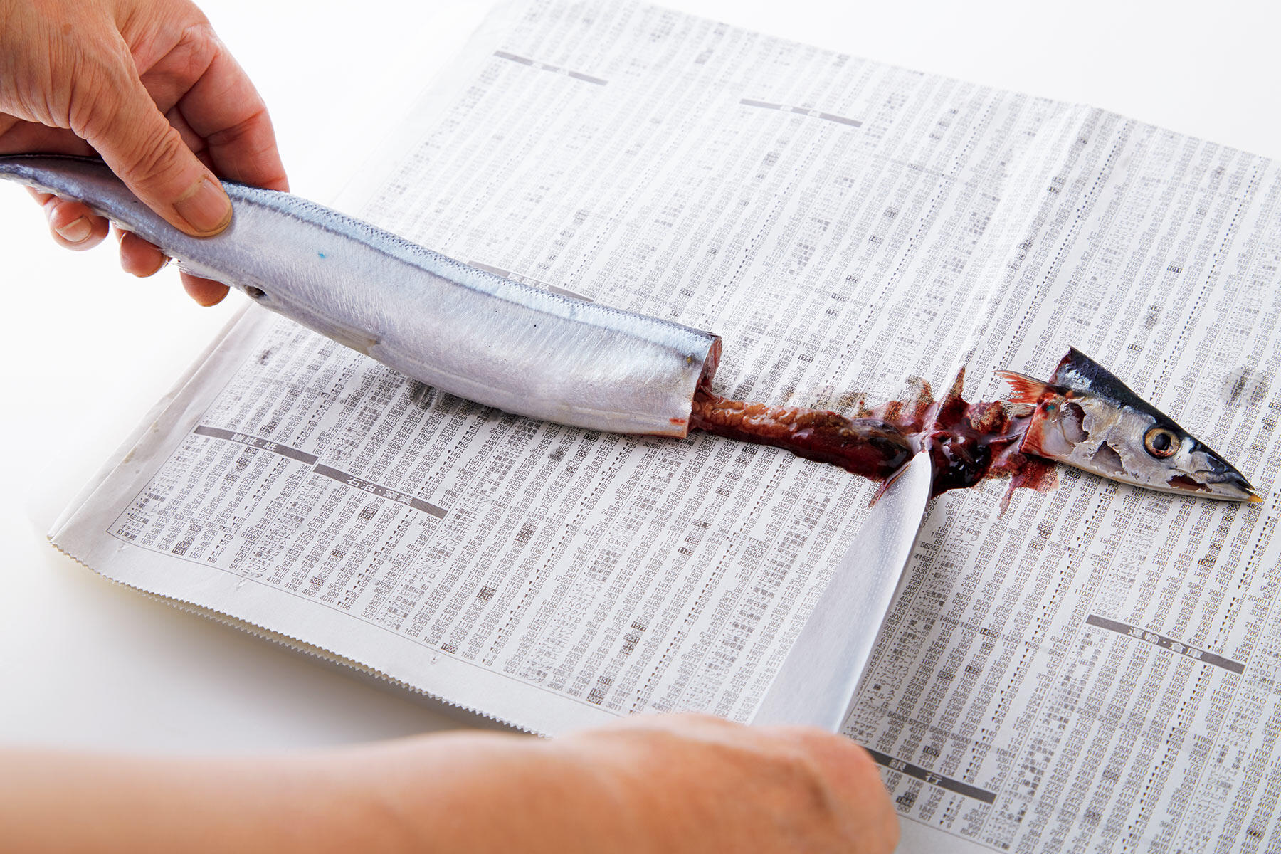 サンマをさばく