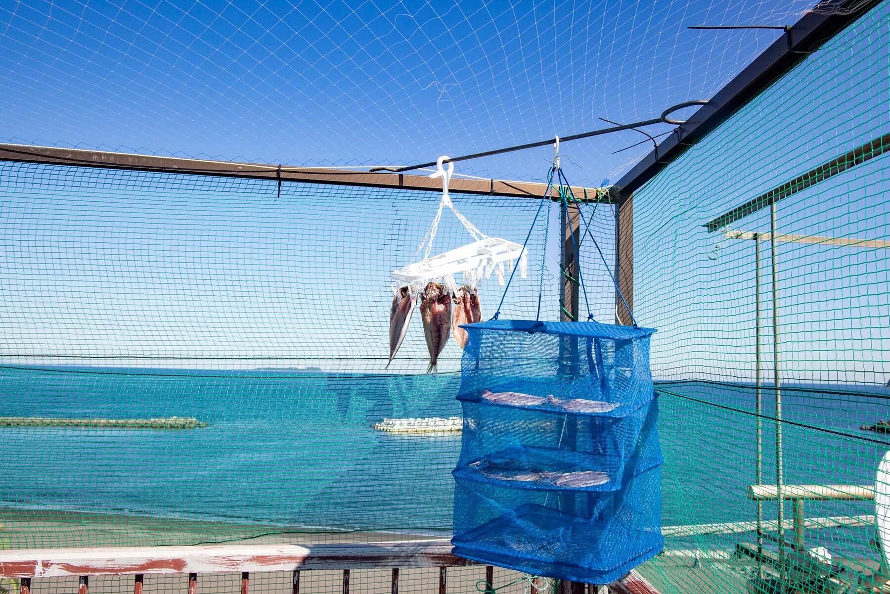 青い干物用の網