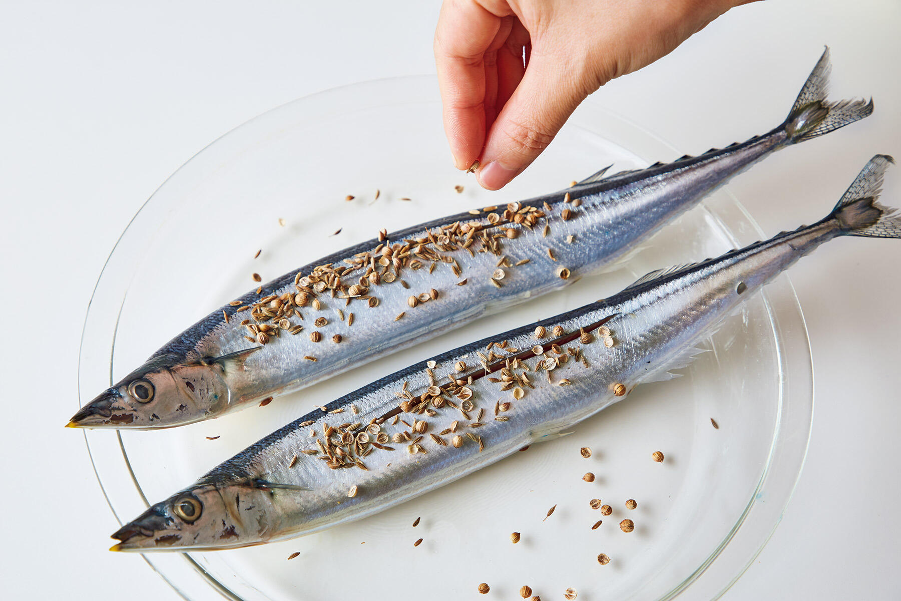 サンマにスパイスと塩をまぶす