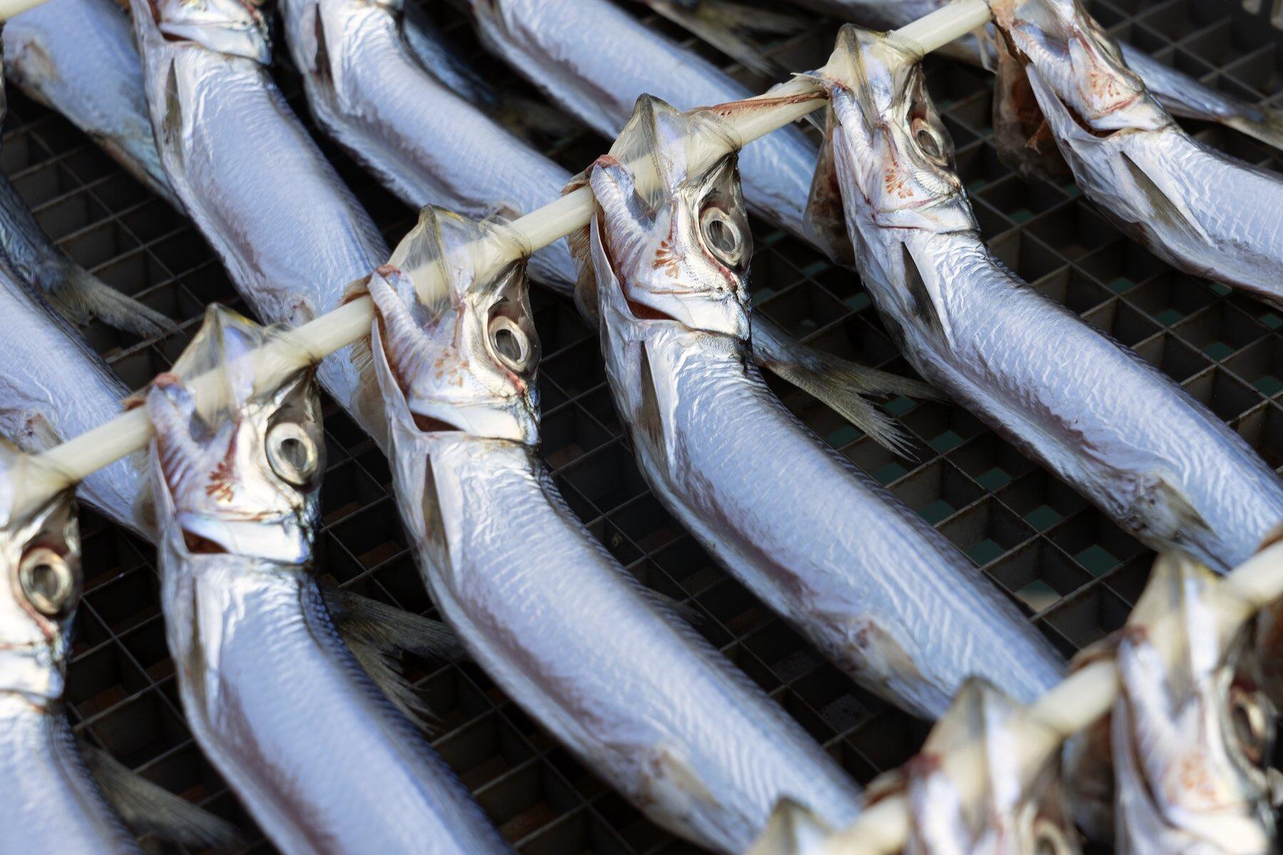 うるめいわしの丸干し