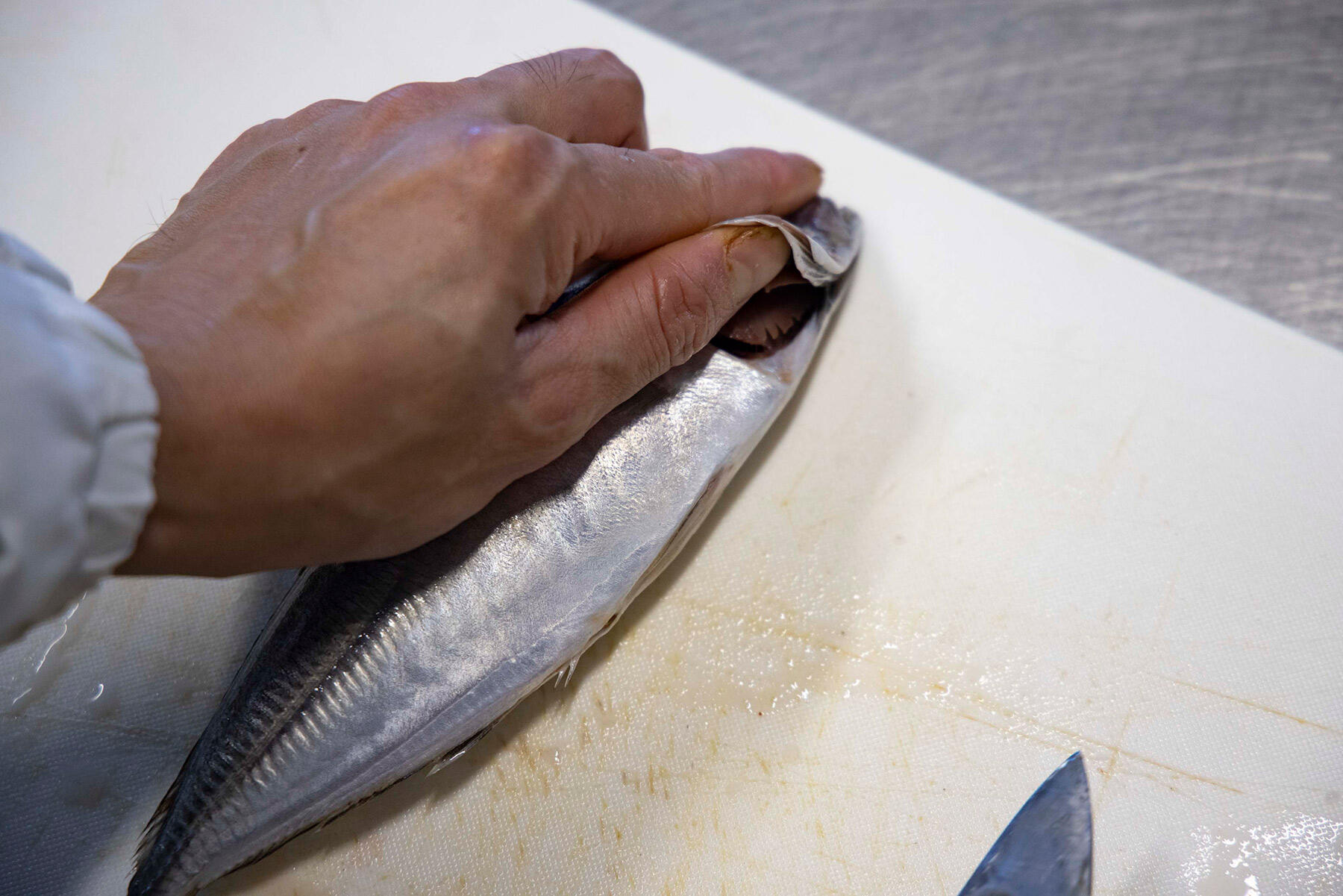 手でエラぶたを開く