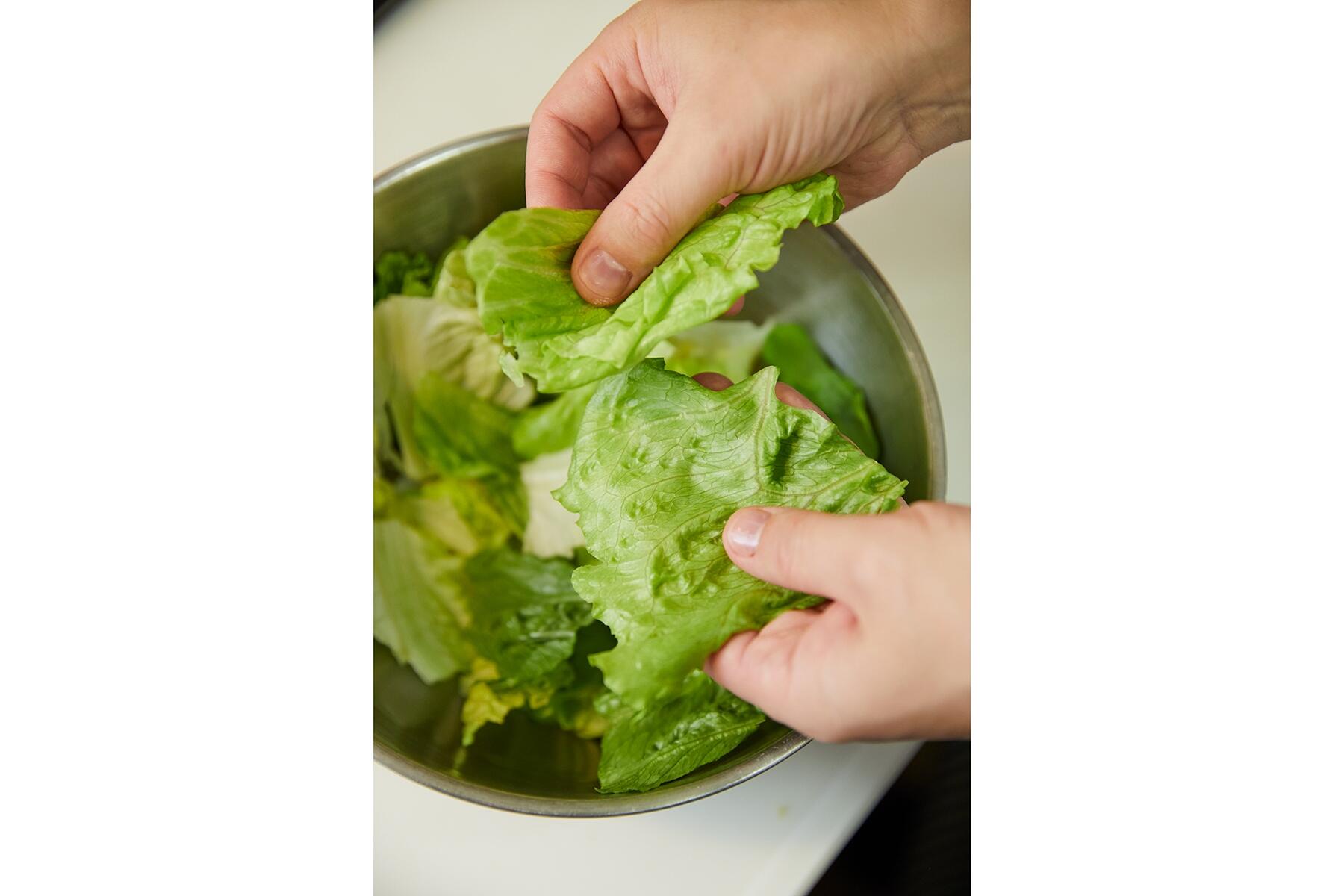 レタスをちぎる