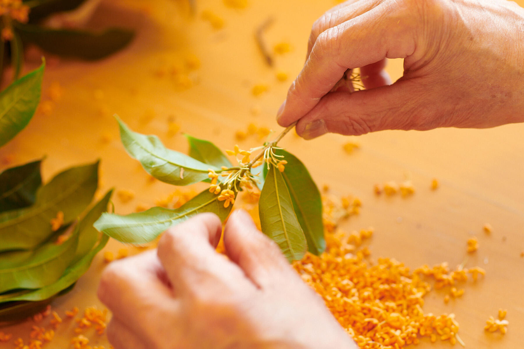 花弁を取り分ける