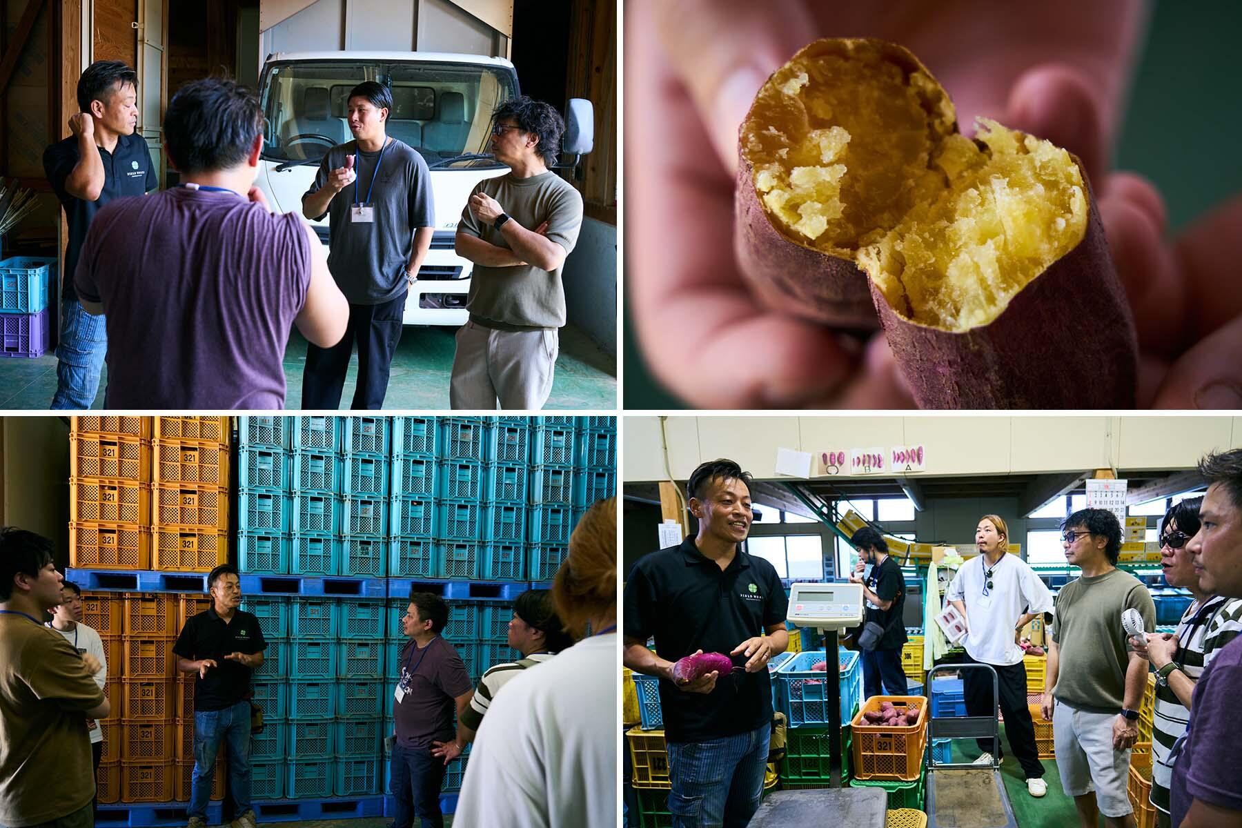 最新技術で貯蔵するとみつ金時