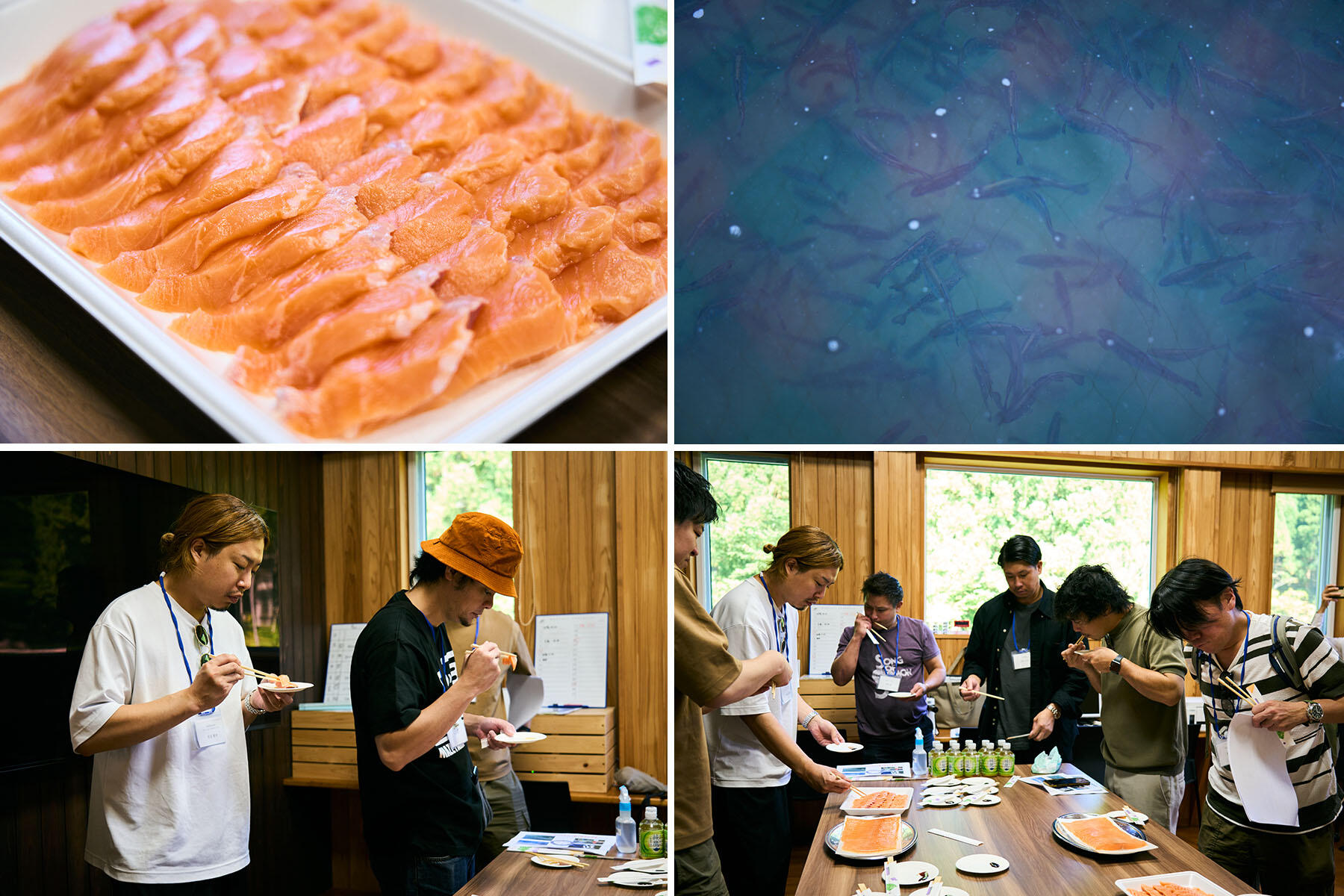 名水の町のふくいサーモン