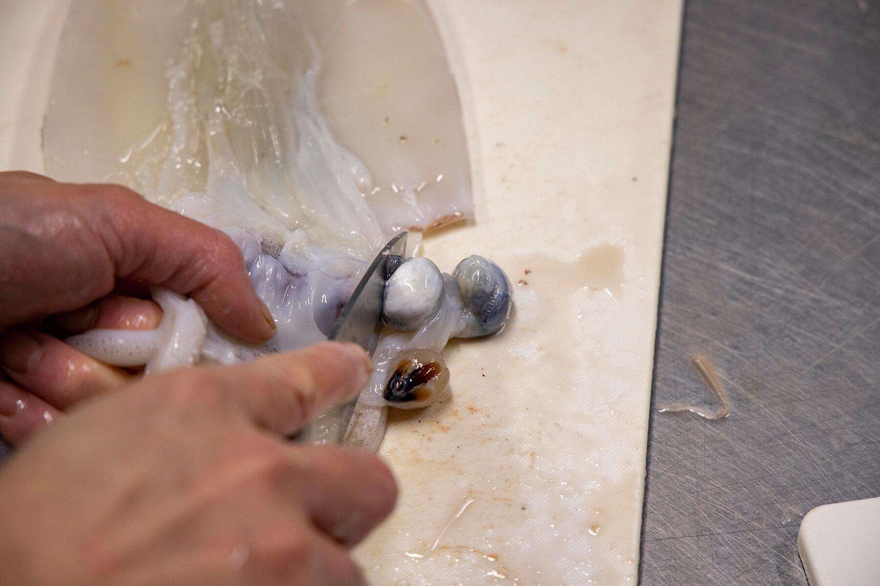 目とクチバシを取り除く