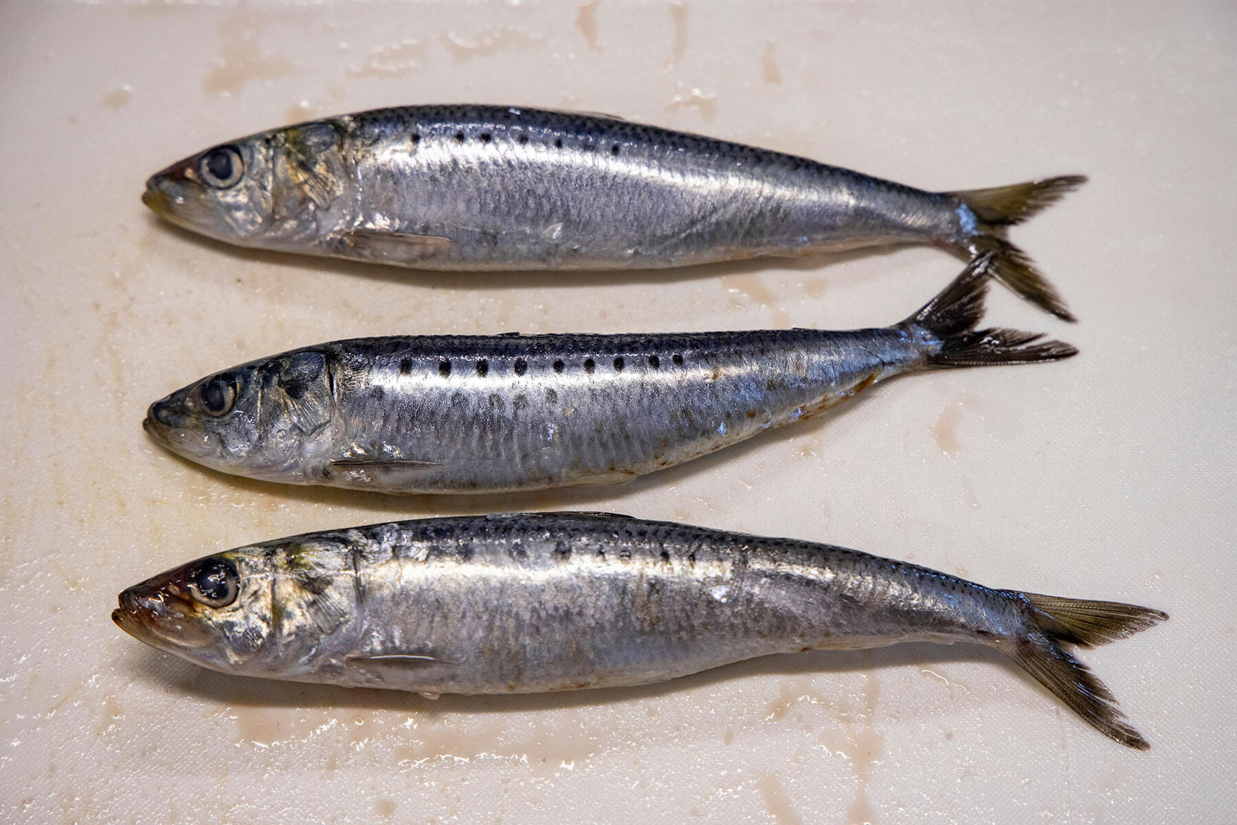 胸ビレの後ろから包丁を入れて頭を落とす