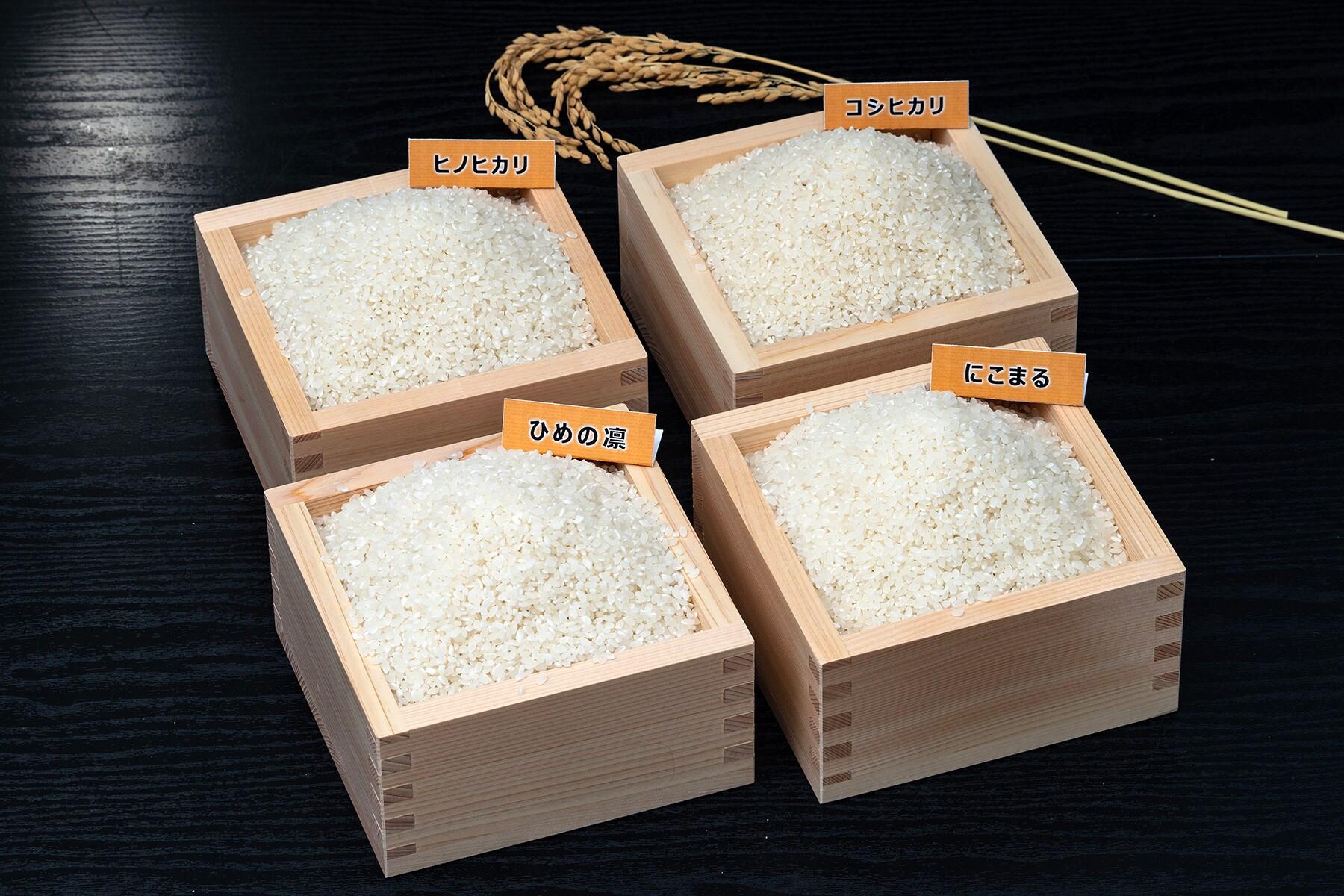 伊予あぐり米4品種食べ比べセット