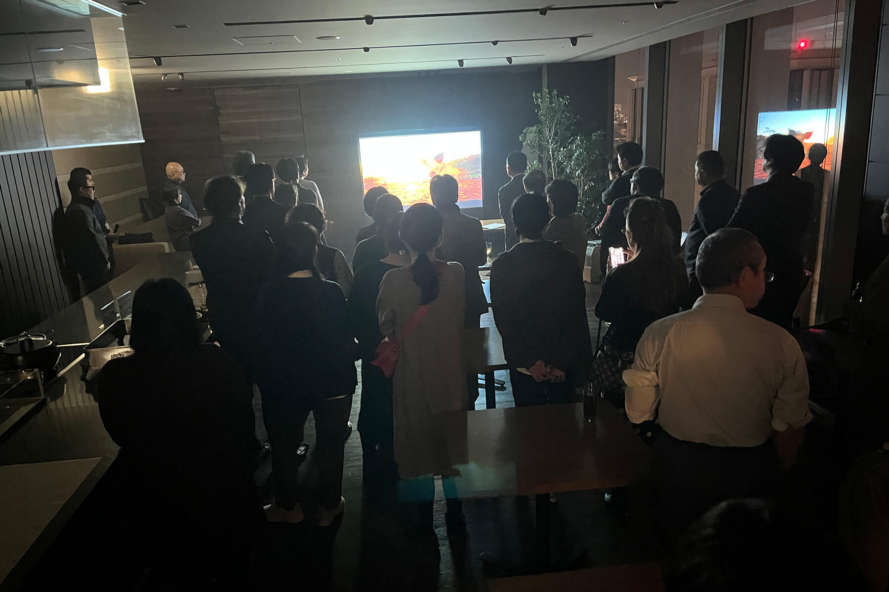 動画を視聴する