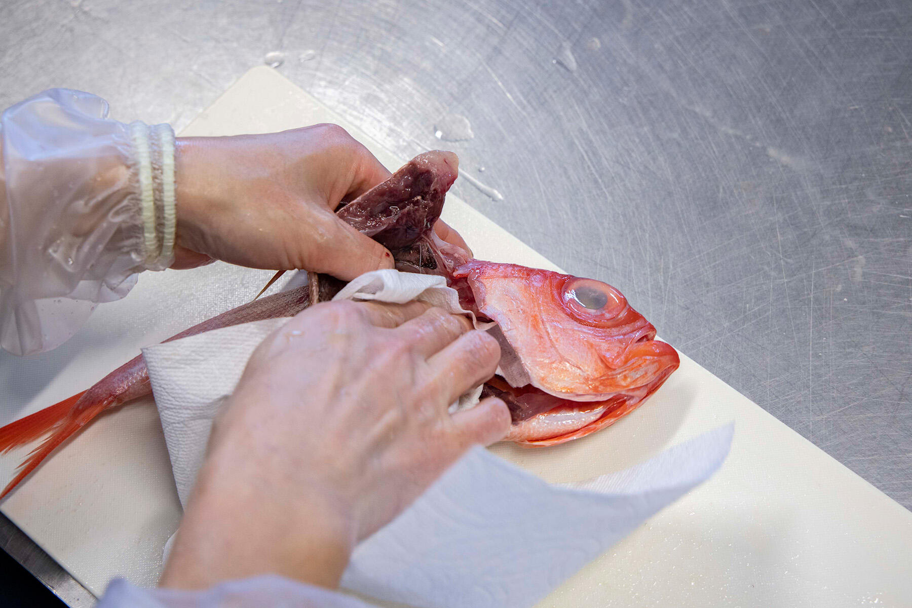 水気を拭き取る