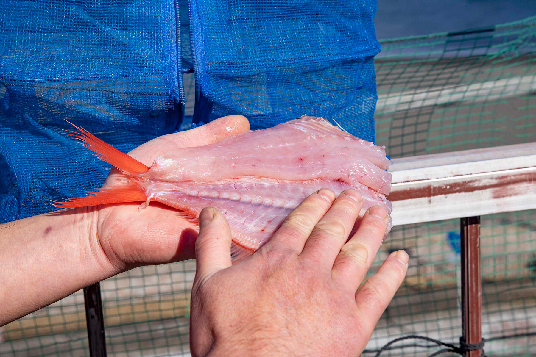 表面をなでつけて艶を出す