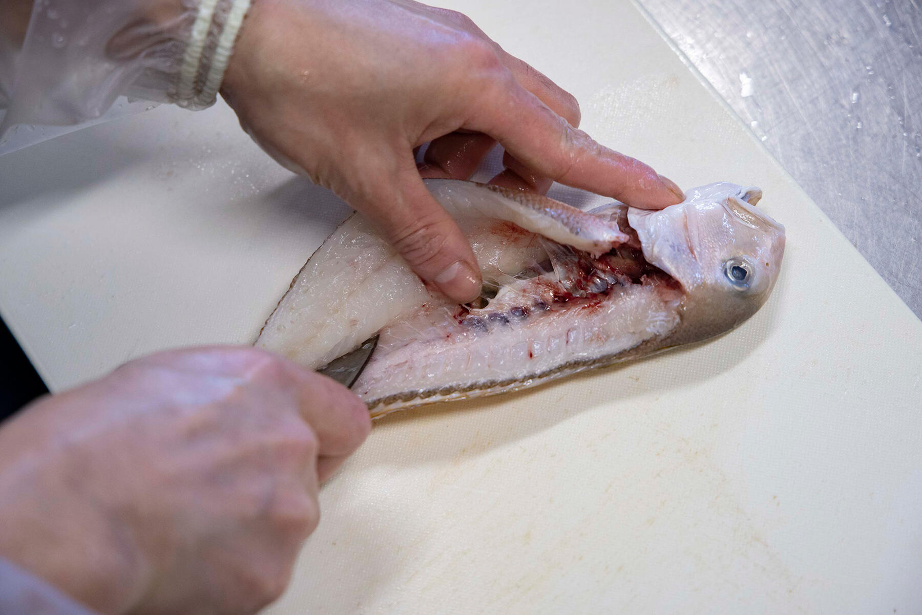 中骨に沿って切り込む