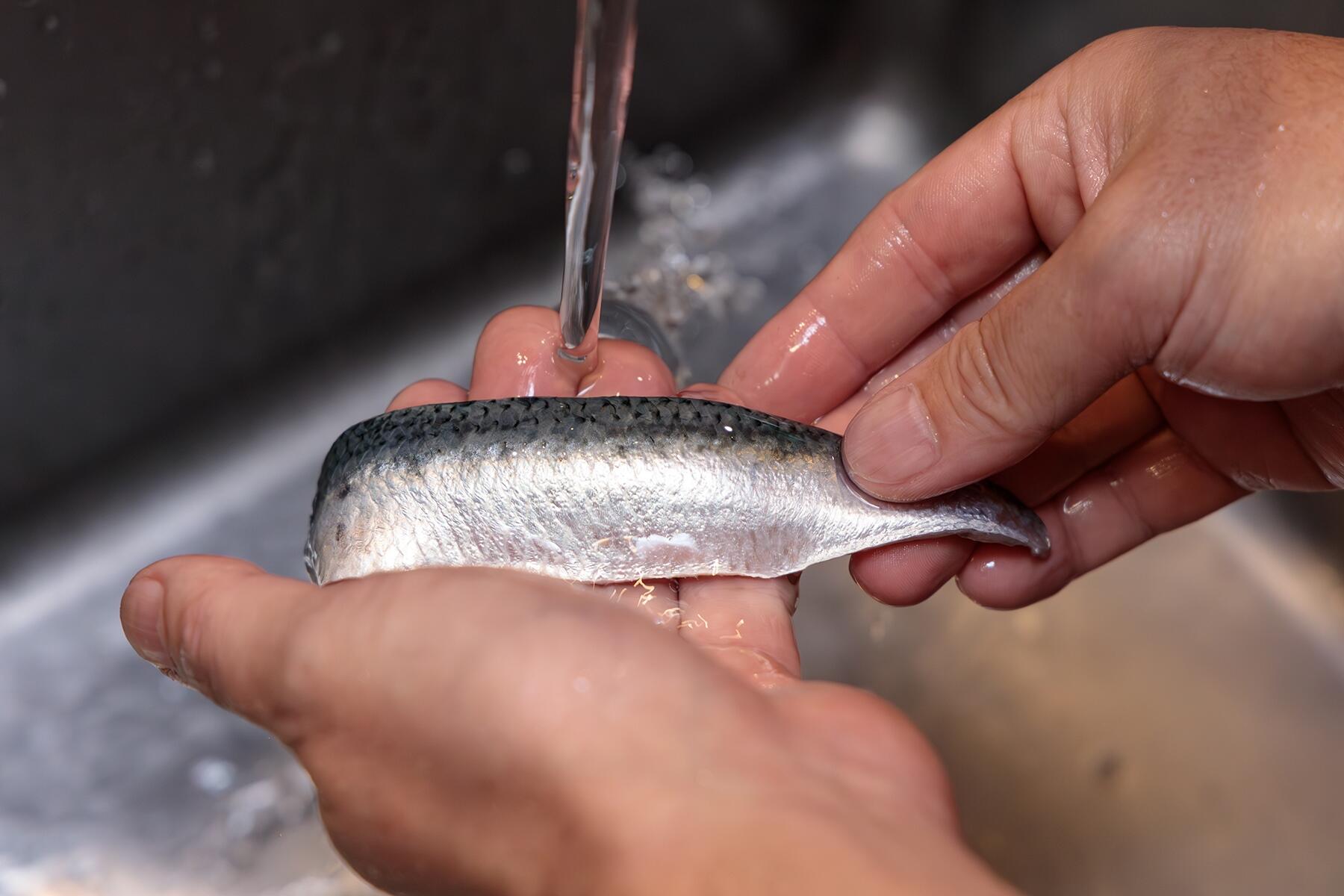 鰯を洗う