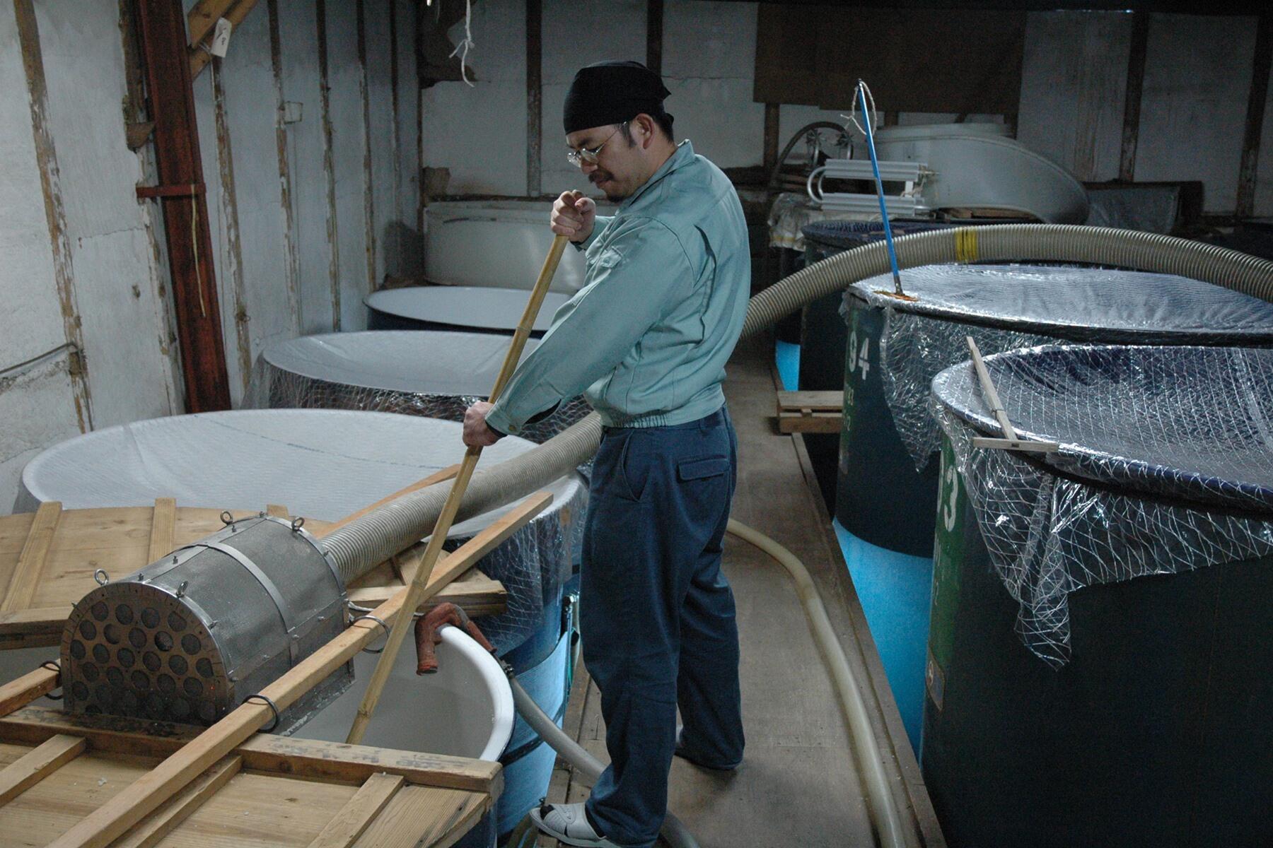 仕込み蔵で醪に櫂を入れる