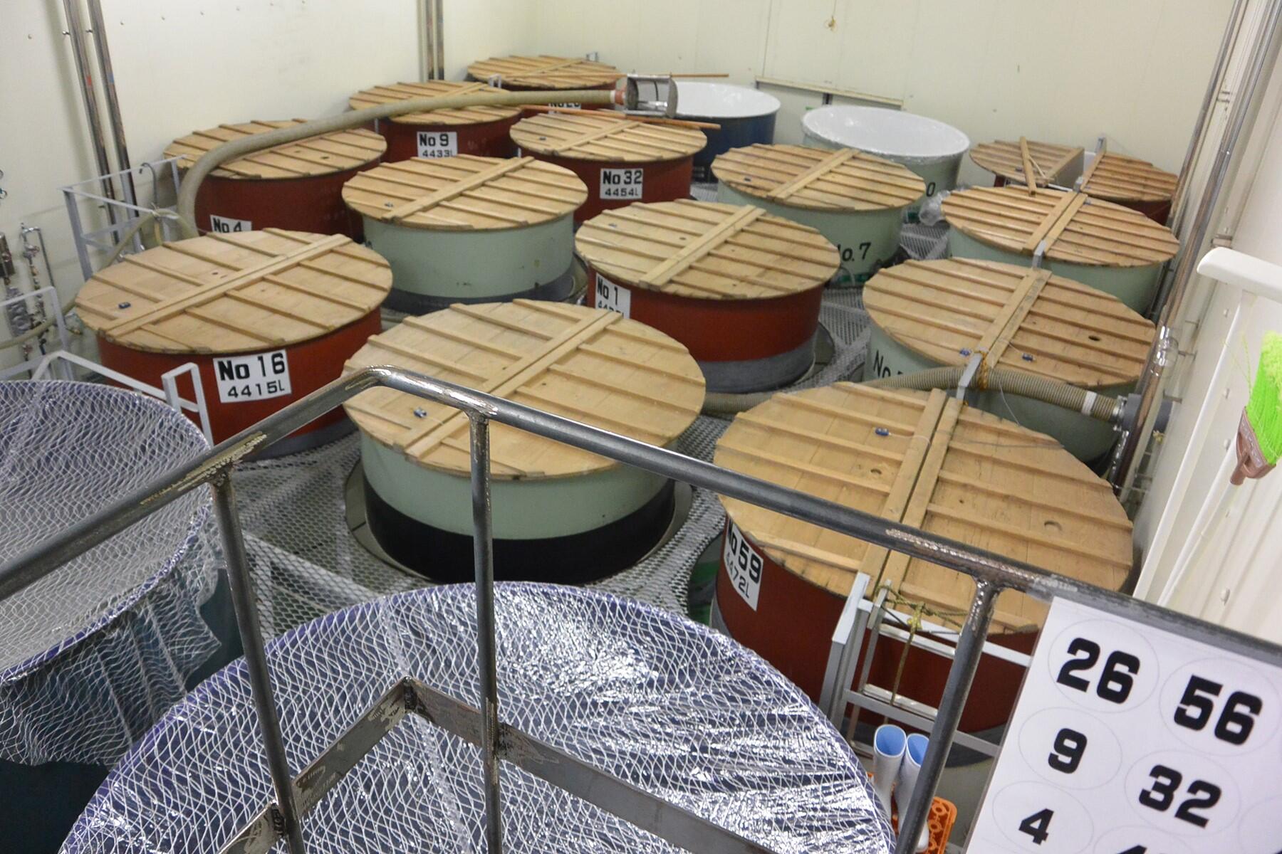 2015年に改装して広くなった仕込み蔵