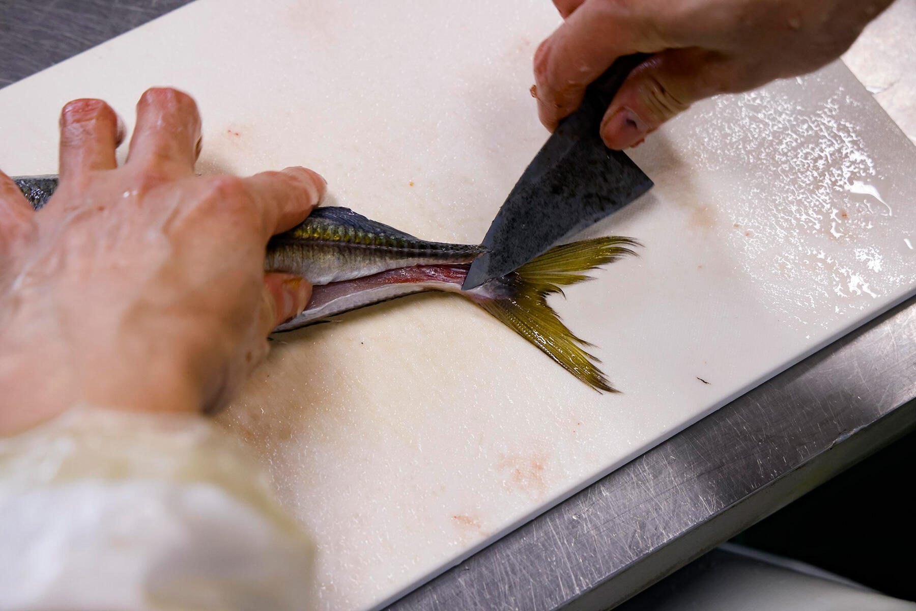 背側に包丁を入れる