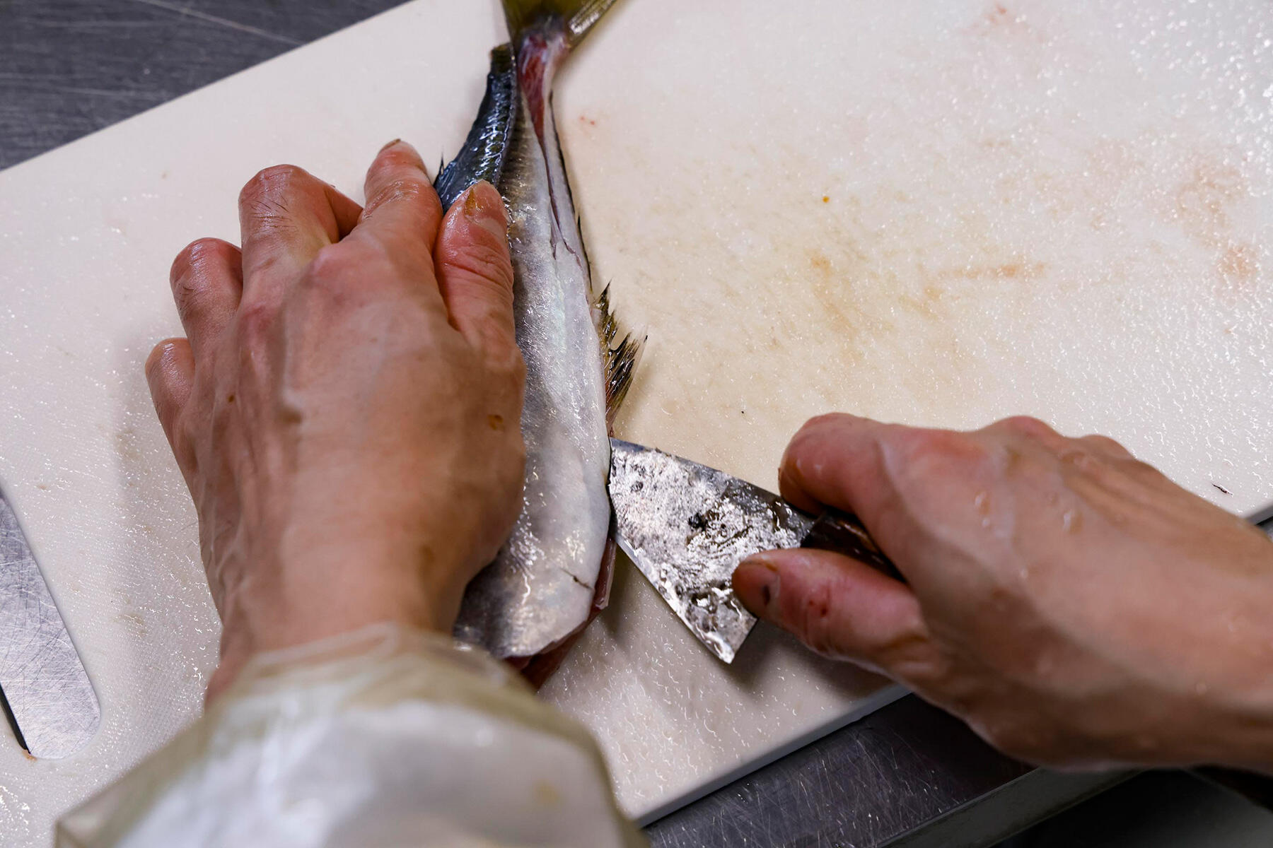 腹側も切り開く