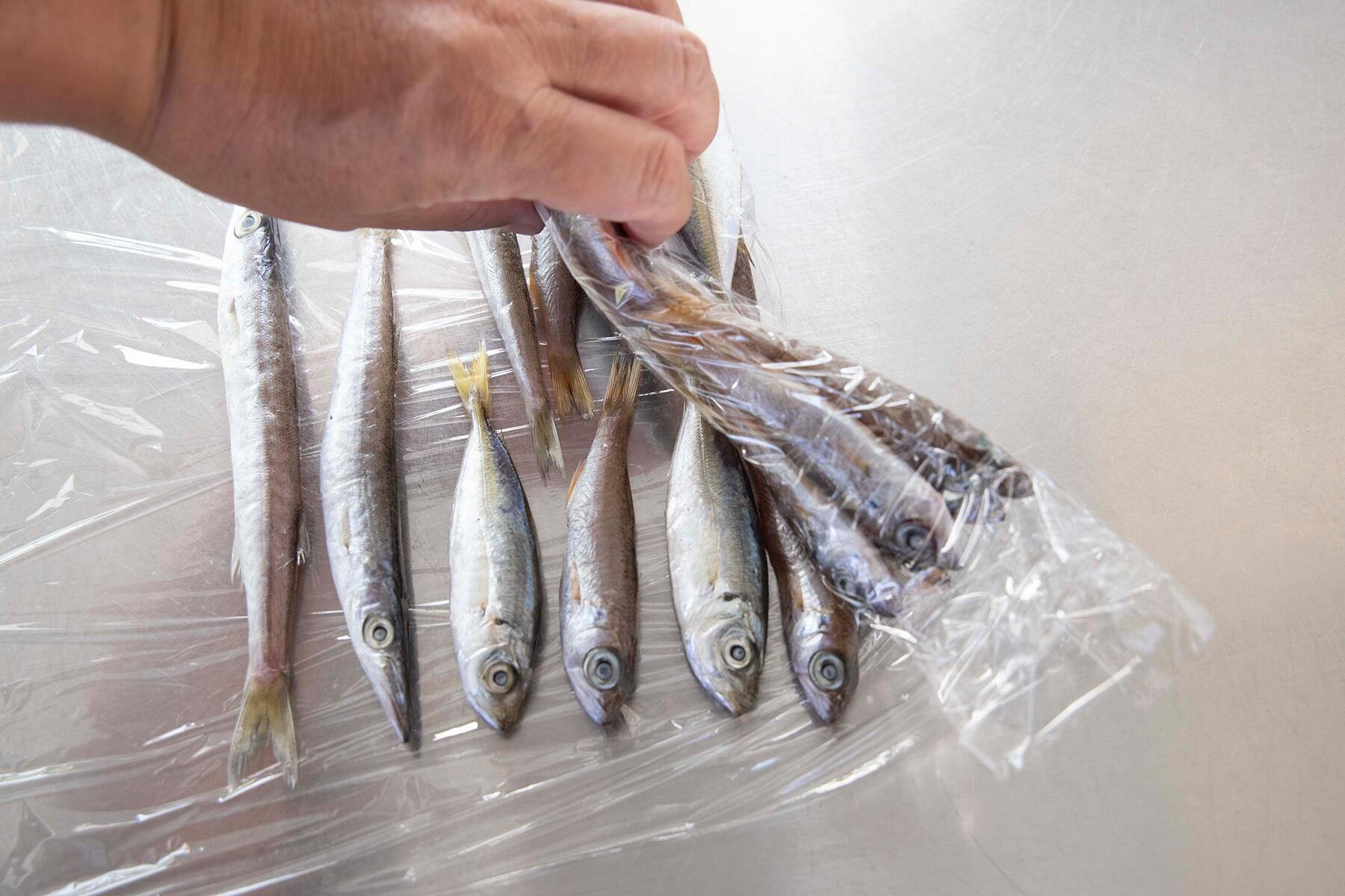 大宮冬洋の干物日記