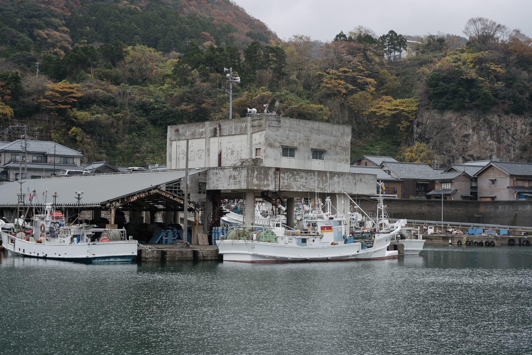 バスの車窓から、目指す越前漁港が見えてきた！想像よりひっそりして静まり返っているのは気のせいか......？